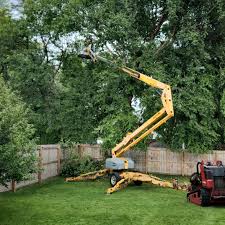  Victory Lakes, NJ Tree Removal Pros