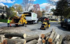Best Organic Lawn Care Solutions  in Victory Lakes, NJ