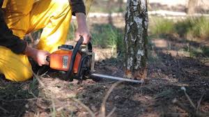 Best Lawn Irrigation Installation and Maintenance  in Victory Lakes, NJ