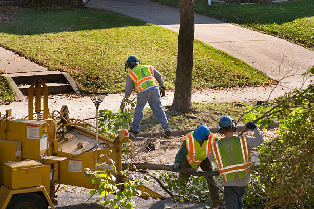 Best Weed Control  in Victory Lakes, NJ