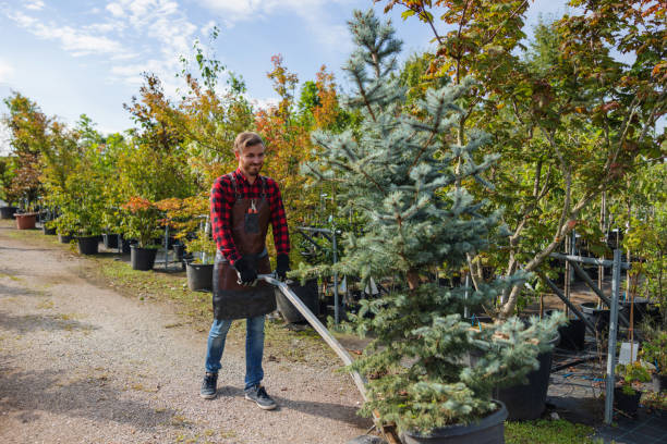 Best Firewood Processing and Delivery  in Victory Lakes, NJ